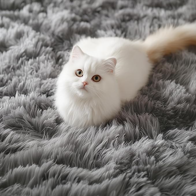 PAGISOFE Super Soft Runner Rugs for Hallway 2x6 Ft,Grey Fluffy Rug Home Decor Aesthetic, Fuzzy Plush Long Bedside Rugs for Room Decor Indoor Fluffy Shaggy Furry Throw Rug for Teen Dorm Nursery