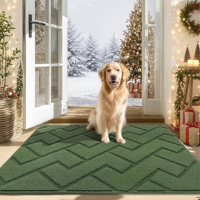 hicorfe Indoor Door Mat,Non Slip Door Mats,32"x48" Front Back Door Mat Rubber Backing,Absorbent Resist Dirt Entrance Inside Floor Mats for Entryway Washable Low-Profile(Green)
