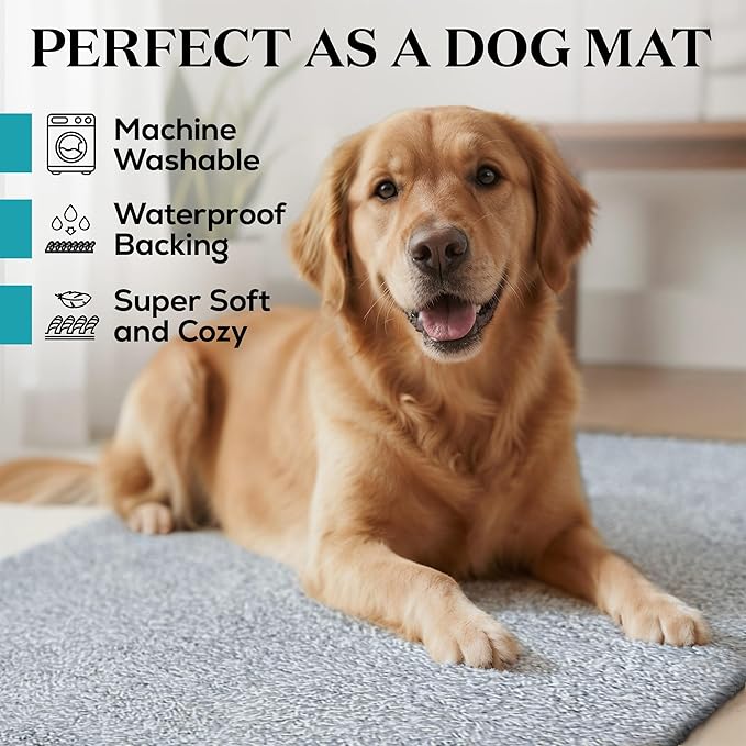 Premium Microfiber Indoor Door Mat – 36"x72" Washable Entry Mat, Non-Slip, Waterproof Backing, Super Absorbent, Low Profile Entryway Doormat for Indoor Entrance