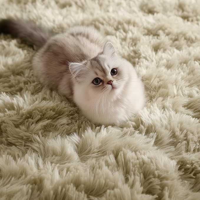 PAGISOFE Fluffy Large Living Room 5x7 Area Rugs,Fuzzy Shag Shaggy Rug Soft Plush Fur Beige Carpet for Room Decor,Indoor Modern Rugs for Living Room Bedroom Dorm Kids Room Decor Nursery Beige Rug