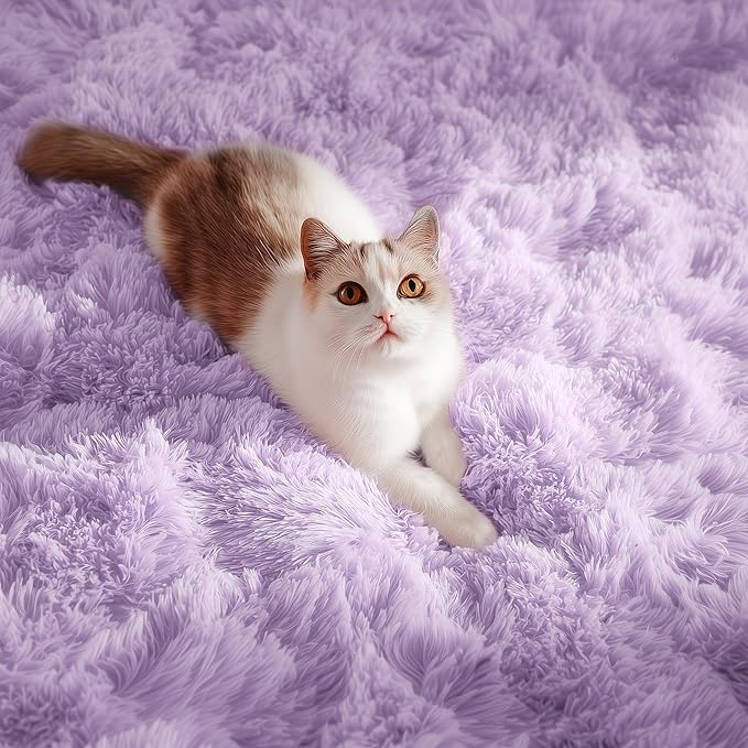 PAGISOFE Fluffy Soft Purple Rug 5' x 7' Rug, Shaggy Rugs for Girls Bedroom, Living Room Furry Rugs for Bedroom Princess, Bedside Rug Nursery Christmas Home Decoration Shag Carpet for Kids Teen's Room