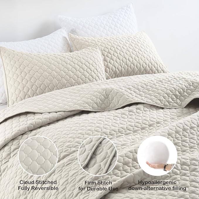 HORIMOTE HOME Quilt Set Queen Size Beige Bedspread, Modern Style Quilted Clouds Pattern Soft Coverlet Set Lightweight Microfiber for All Season, 3 Pieces Includes 1 Quilt and 2 Pillow Sham
