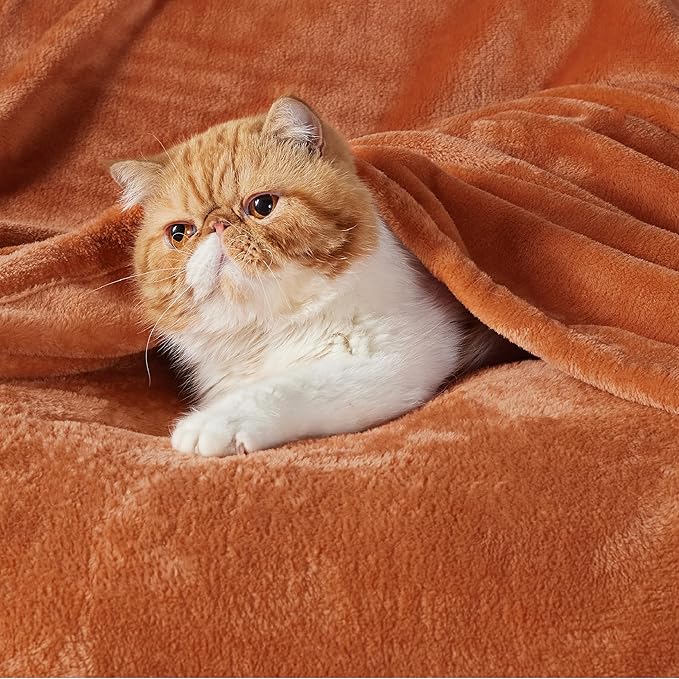 Bedsure GentleSoft Fleece Throw XL Blanket Burnt Orange - 300GSM Soft Lightweight Plush Cozy Blankets for Bed, Sofa, Couch, Travel, Camping, 50x70 inches