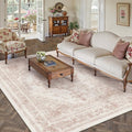 Area Rug 5x7 Washable Pink Rug Vintage Boho Medallion Large Distressed Retro Carpet for Living Room Non Slip Indoor Low Pile Small Soft Bedroom Dining Room Home Office