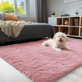OLANLY 3x5 Machine Washable Small Bedside Rug, Soft Fluffy Shaggy Rugs for Living Room, Bedroom, Indoor Floor Carpet for Kids Girls and Boys, Preppy Dorms, Nursery, Home Decor Aesthetic, Pale Pink