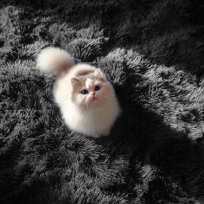 PAGISOFE Black Fluffy Shag Area Rugs for Bedroom 5x7, Soft Fuzzy Shaggy Machine Washable Rugs for Living Room,Plush Nursery Rug Kids Room Furry Floor Rug Boys Carpet for Teen Dorm Black Room Decor