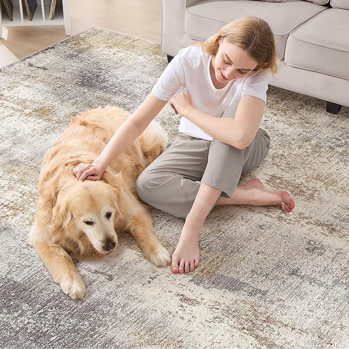 Area Rug Living Room Rugs - 6x9 Washable Soft Indoor Neutral Modern Abstract Low Pile Rug Carpet for Bedroom Dining Room Farmhouse Home Office - Brown Grey