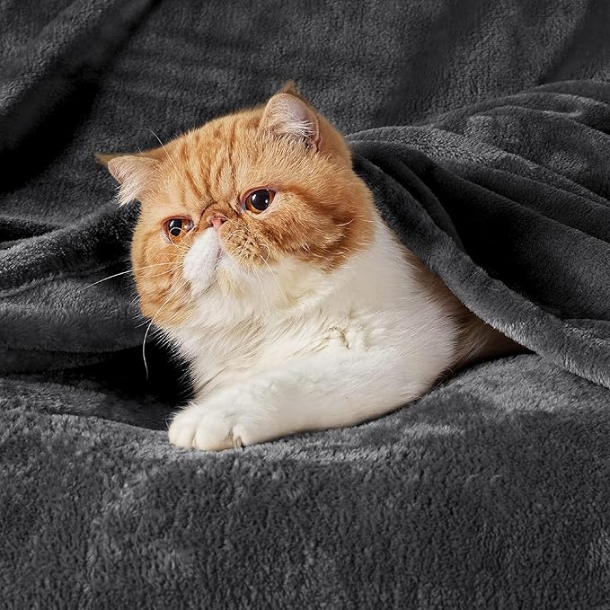 Bedsure GentleSoft Fleece Bed Blankets Full Size Charcoal - Soft Lightweight Plush Fuzzy Cozy Luxury Blanket Microfiber, 84x90 inches