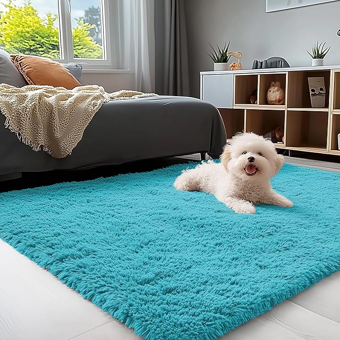 OLANLY 3x5 Machine Washable Small Bedside Rug, Soft Fluffy Shaggy Rugs for Living Room, Bedroom, Indoor Floor Carpet for Kids Girls and Boys, Preppy Dorms, Nursery, Home Decor Aesthetic, Teal