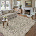 Brown 6x9 Area Rug Vintage Washable Living Room Carpet Non Slip Bedroom Indoor Office Low Pile Large Traditional Distressed Retro Accent Rug for Dining Room Bathroom Kitchen