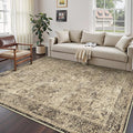 5x7 Area Rug Washable Vintage Neutral Living Room Carpet Large Indoor Non Slip Brown Bedroom Distressed Low Pile Retro Accent Throw Rug for Dining Room