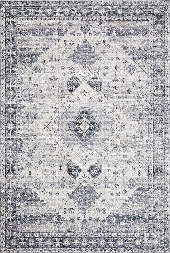 Loloi II Skye Collection SKY-02 Silver/Grey 2'-3" x 3'-9" Accent Rug